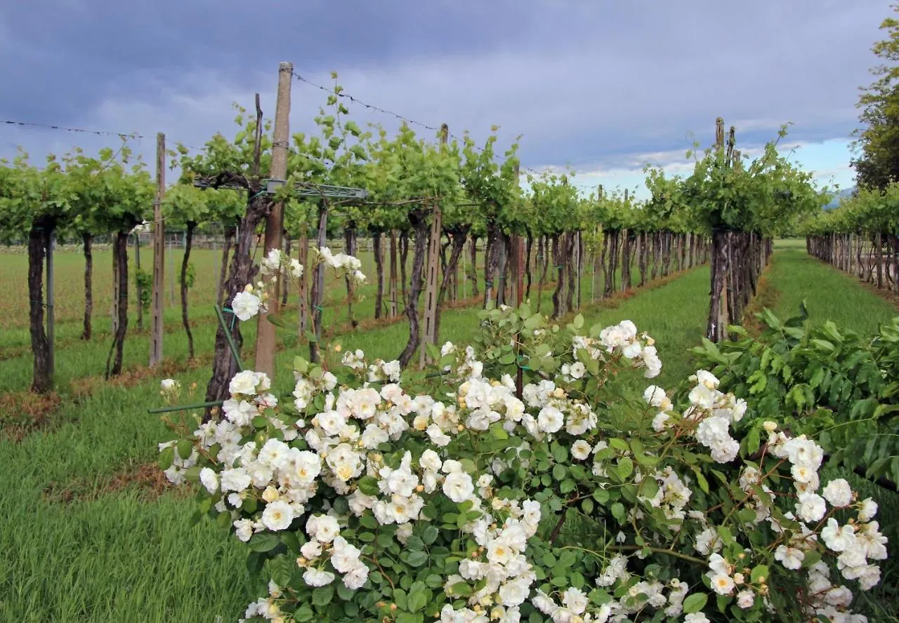 Farm stay Fattoria Grimana Villa Montegalda