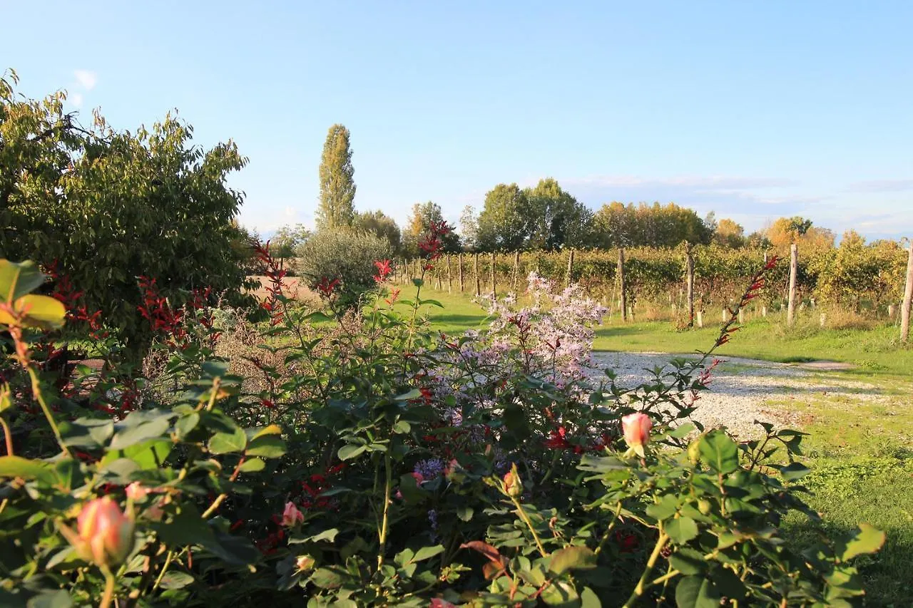 Farm stay Fattoria Grimana Villa Montegalda Italy