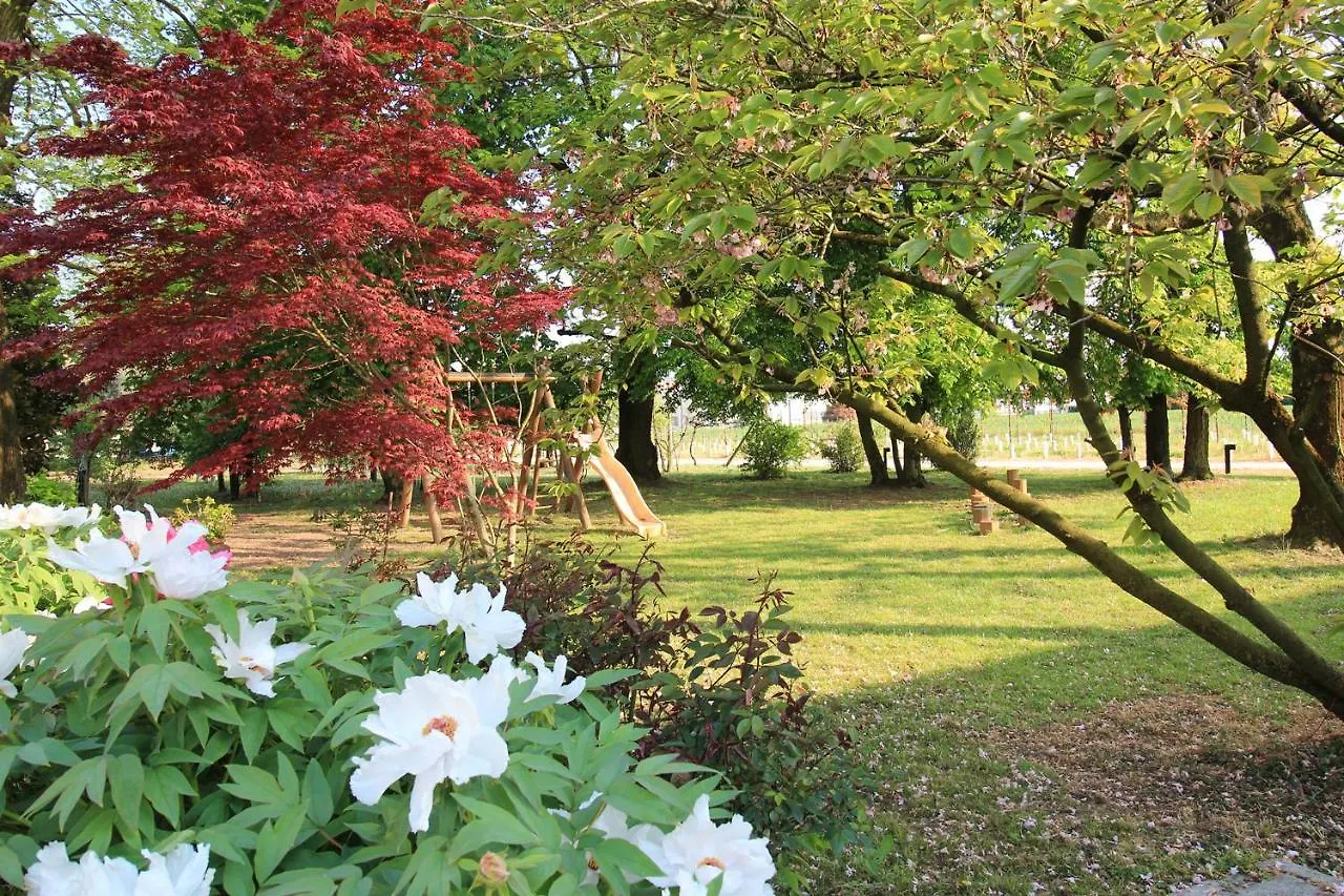 Farm stay Fattoria Grimana Villa Montegalda