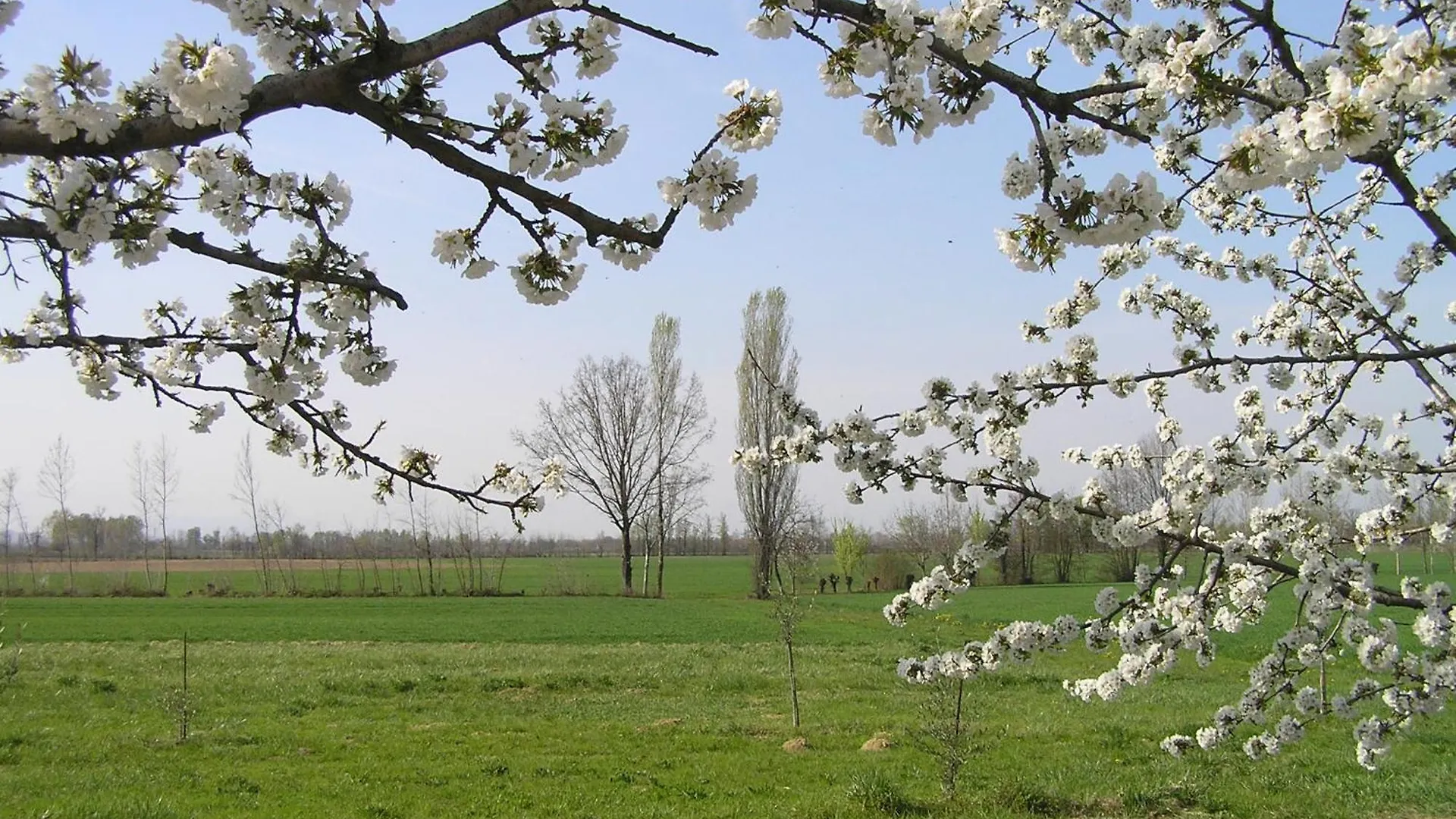 Farm stay Fattoria Grimana Villa Montegalda