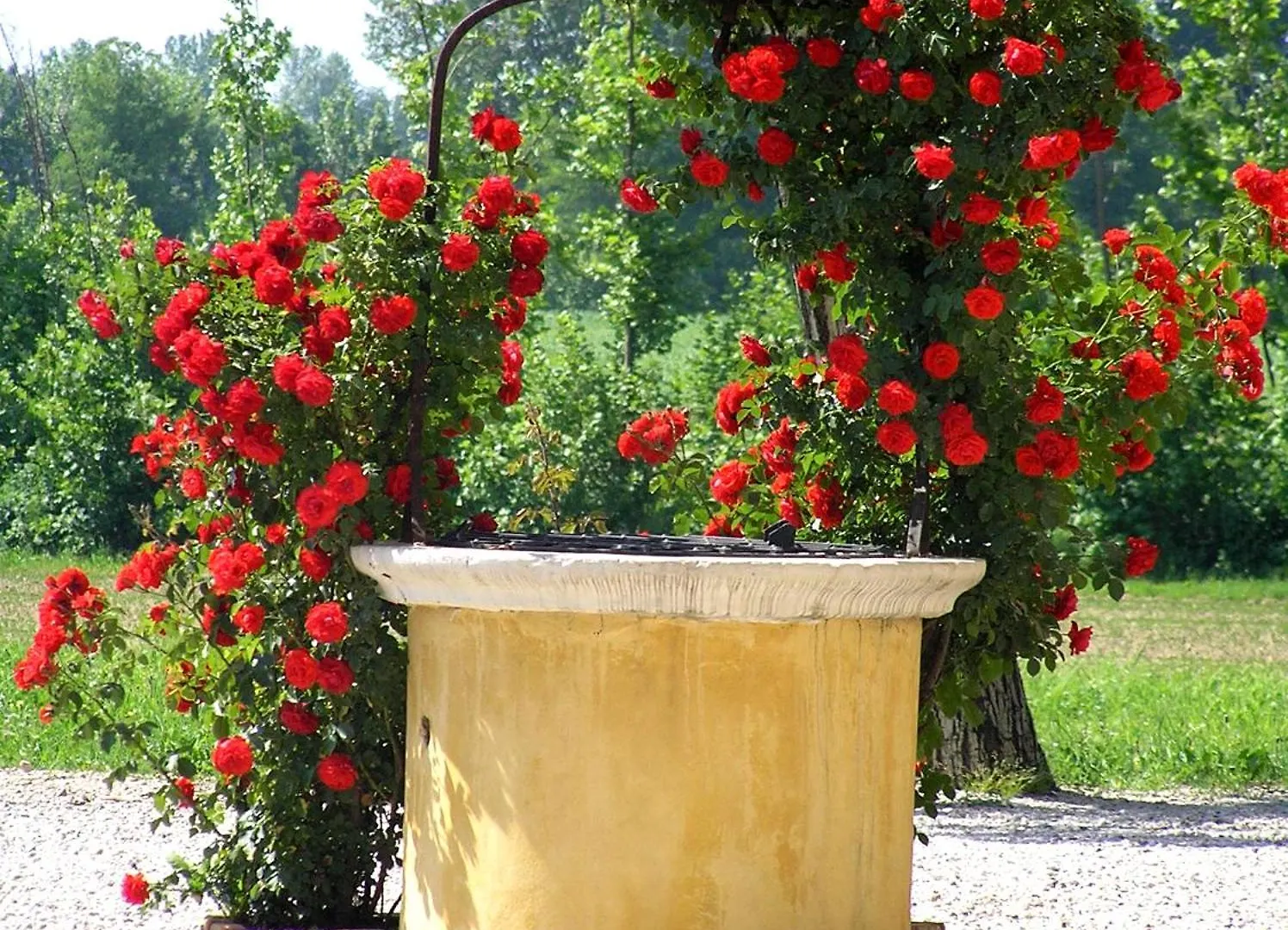 Fattoria Grimana Villa Montegalda